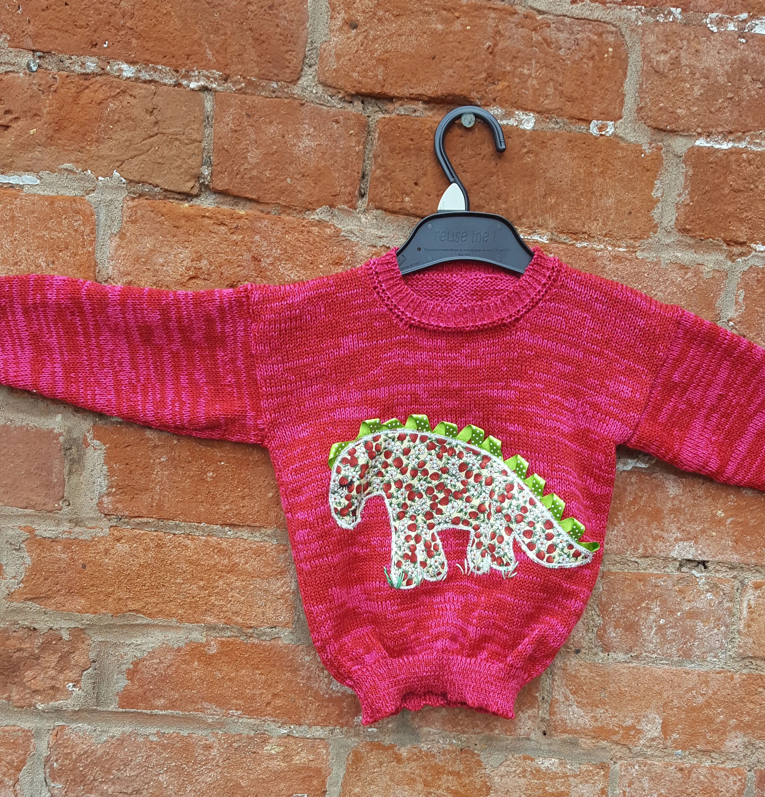 Childrens Made to Order Dinosaur Jumper