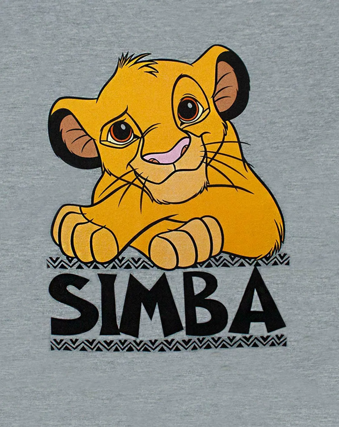 Disney Lion King Boys Grey Short Sleeved T-Shirt