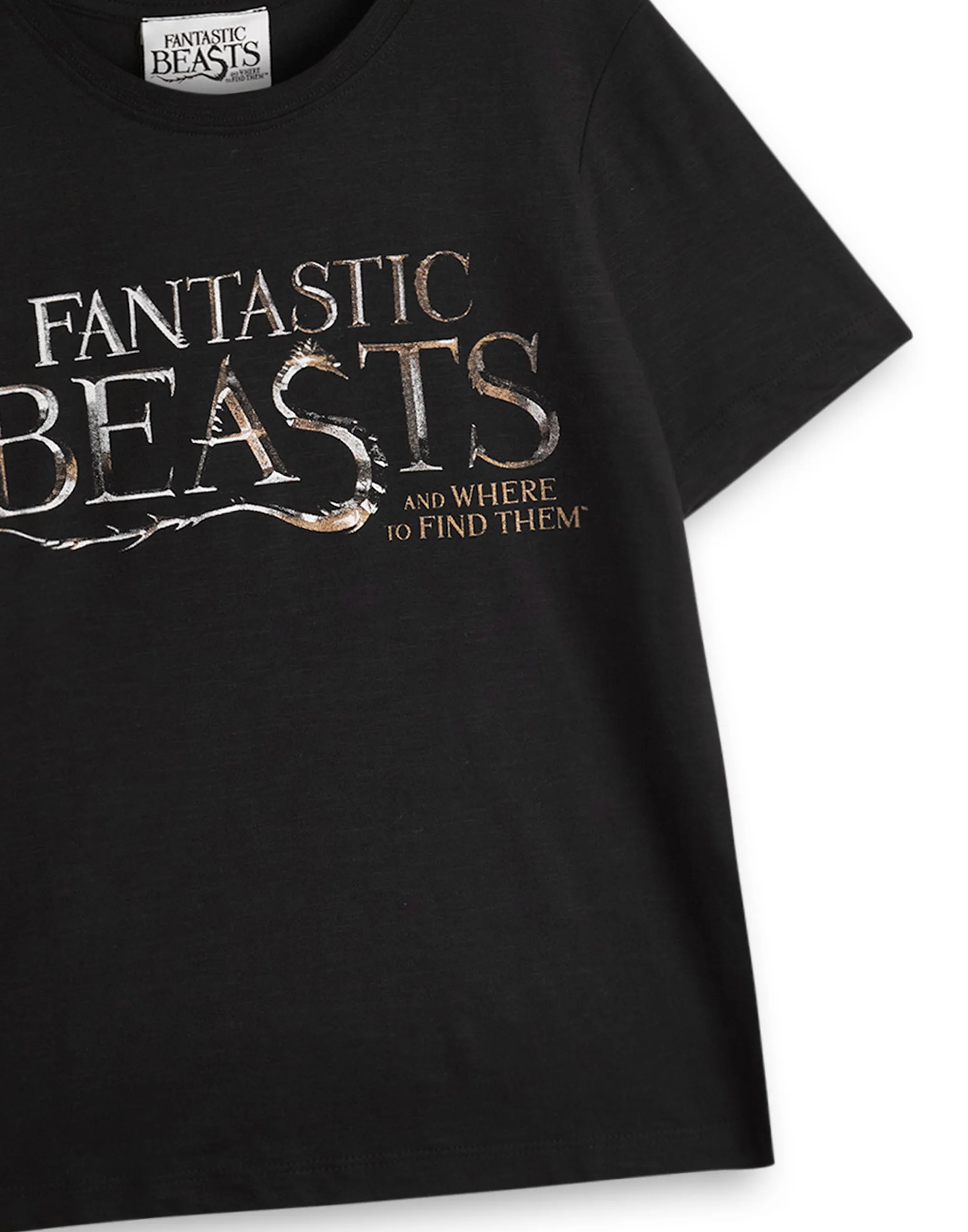 Fantastic Beasts And Where To Find Them Boys Black Short Sleeved T-Shirt