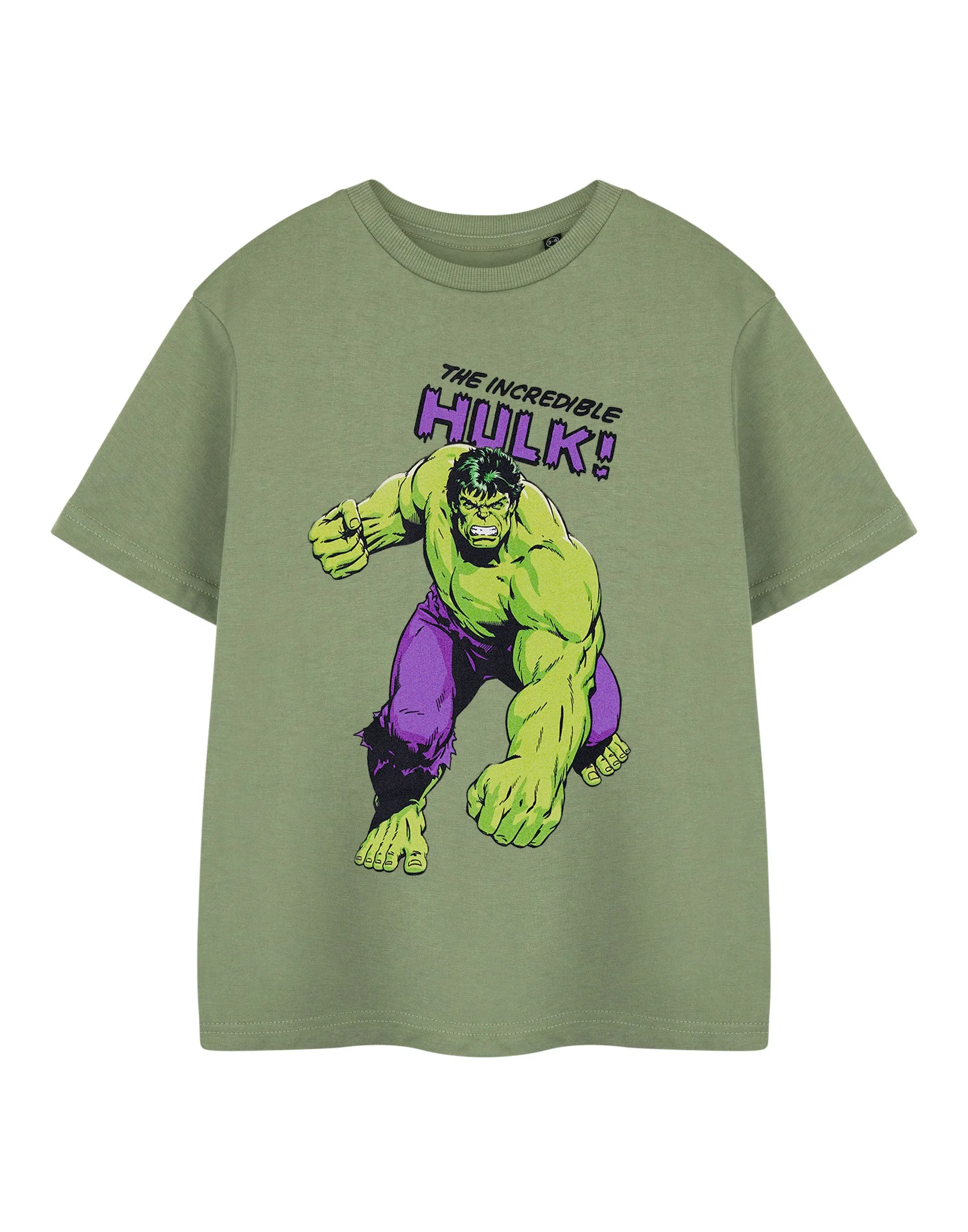 Marvel The Hulk Boys Green Short Sleeved T-Shirt