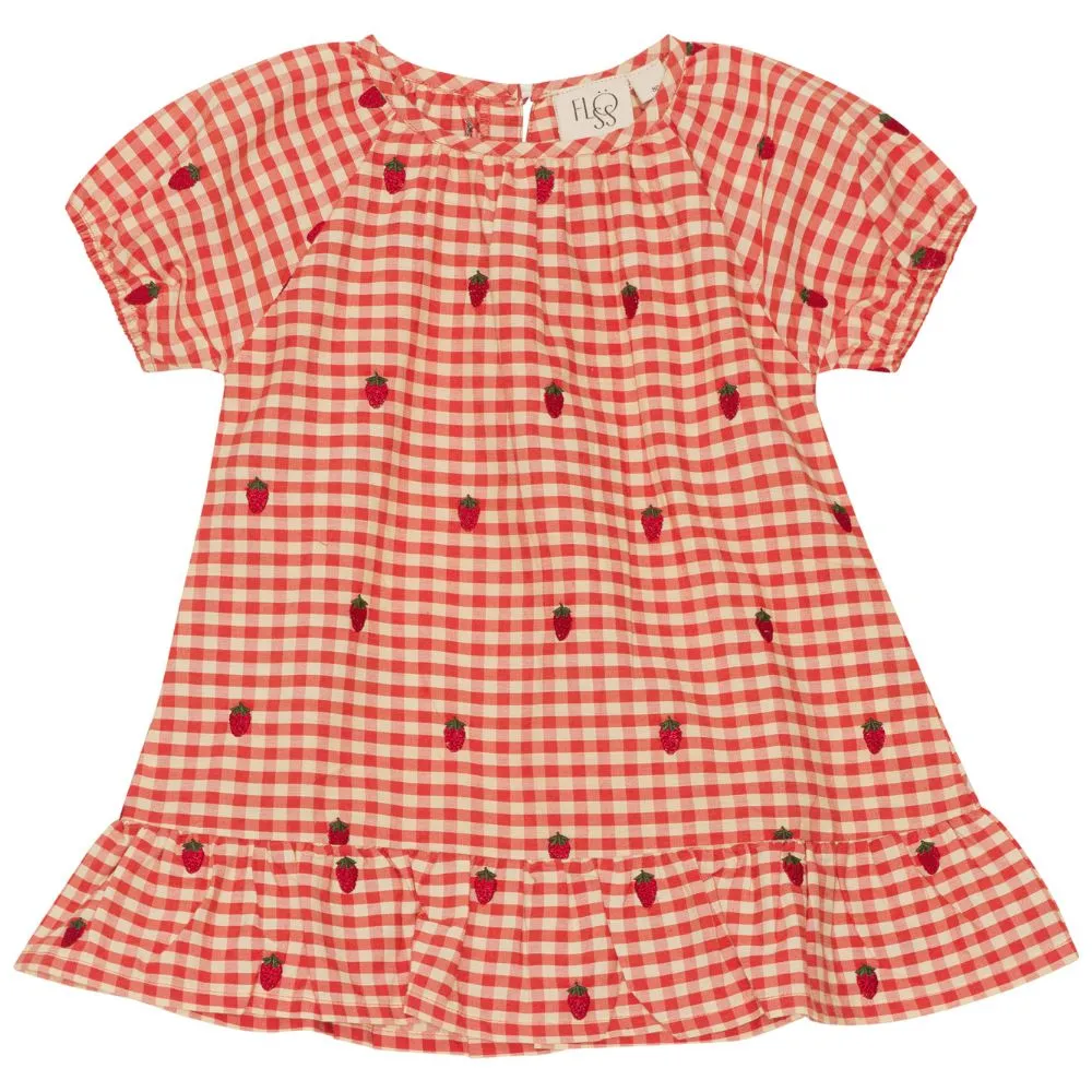 Molly Strawberry Red Gingham Dress