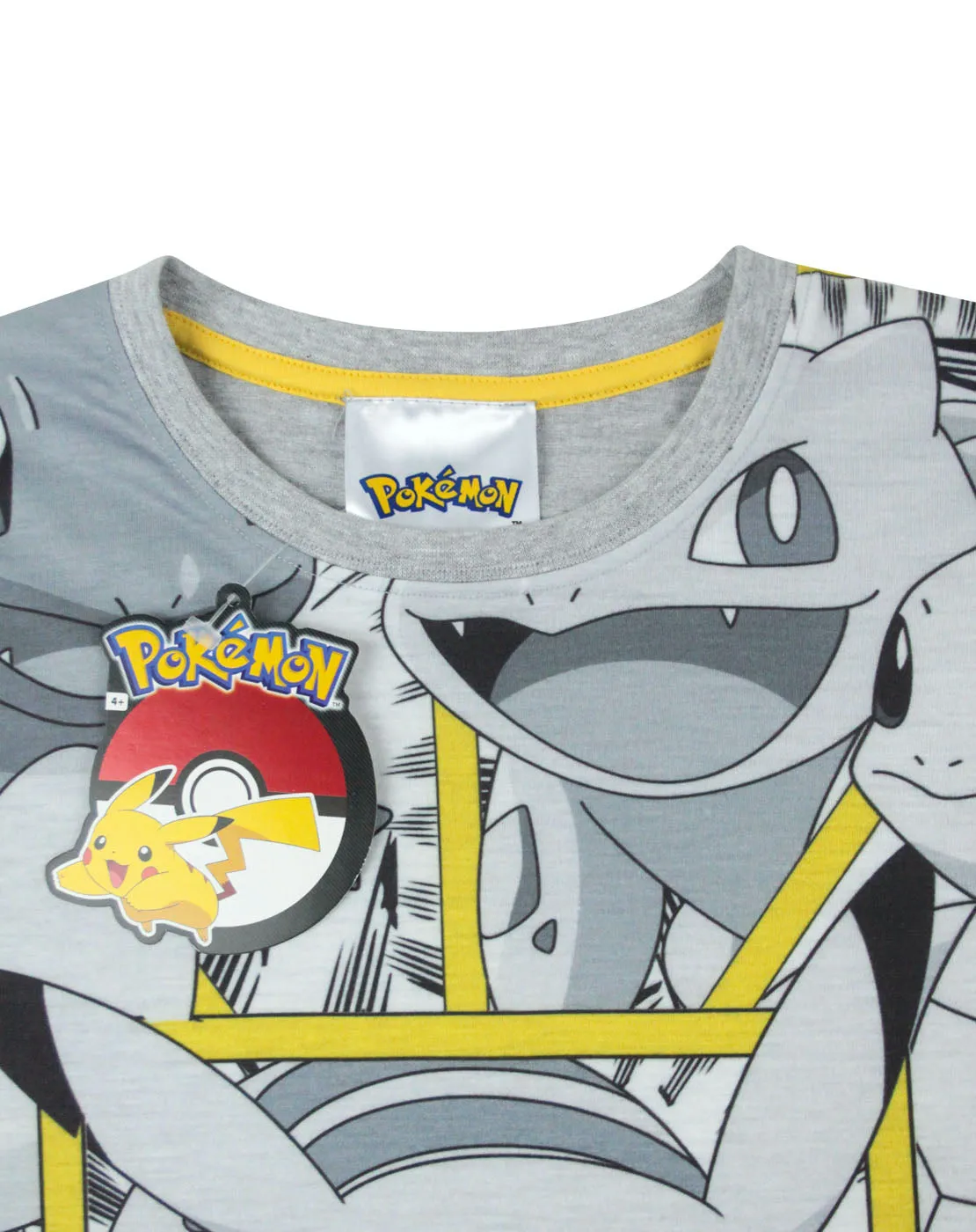 Pokemon Boys Grey Short Sleeved T-Shirt