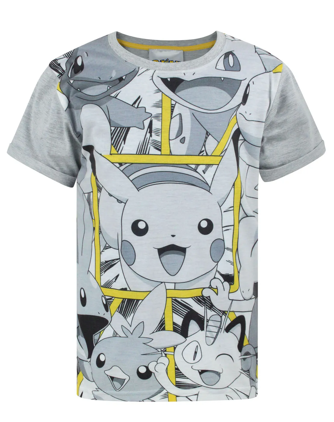 Pokemon Boys Grey Short Sleeved T-Shirt