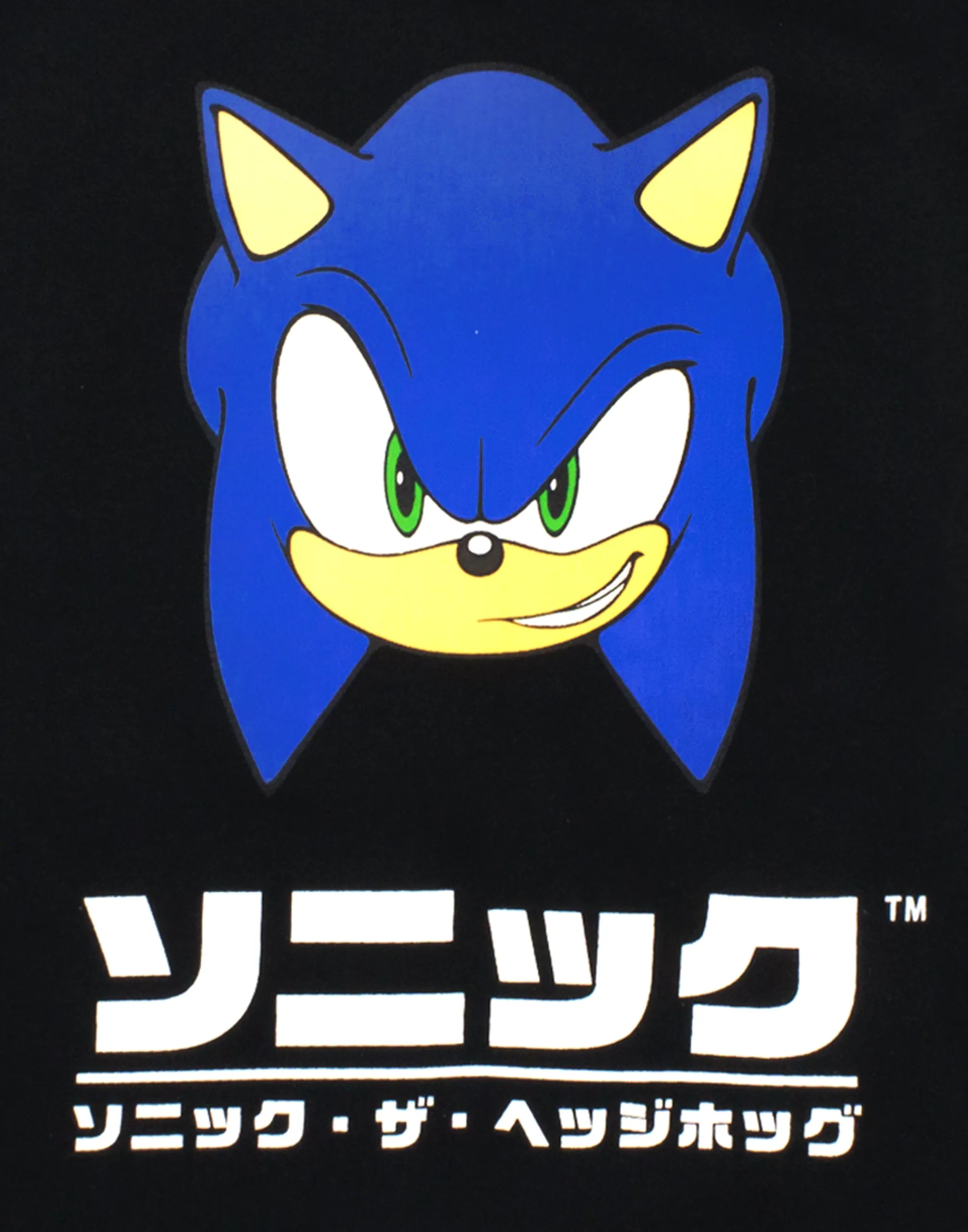 Sonic the Hedgehog Sonic Japanese Gamer Boys Black Hoodie